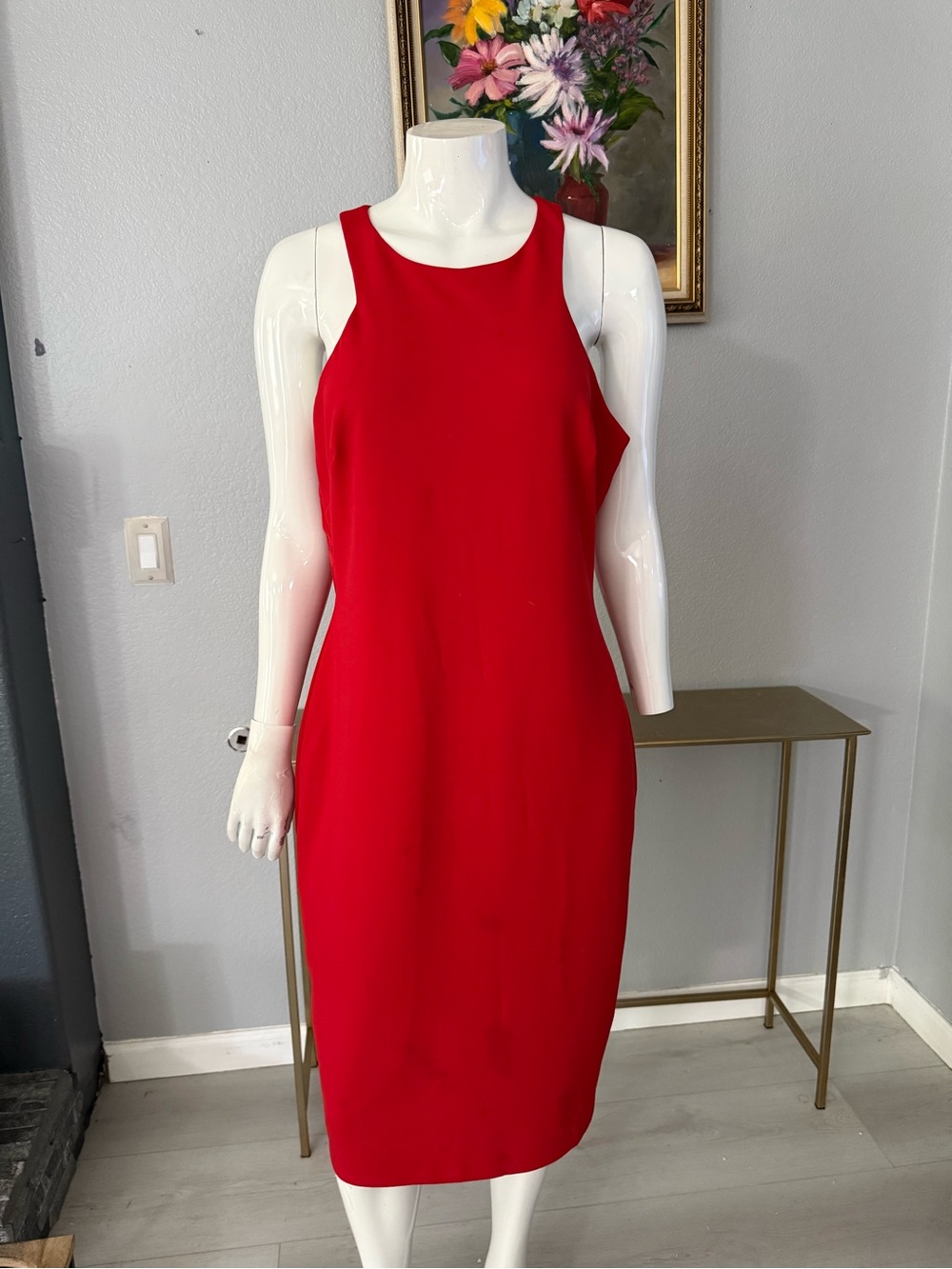 Badgley Mischka Bold Red Sleeveless Sheath Dress